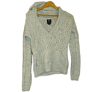AE American Eagle Hooded Sweater